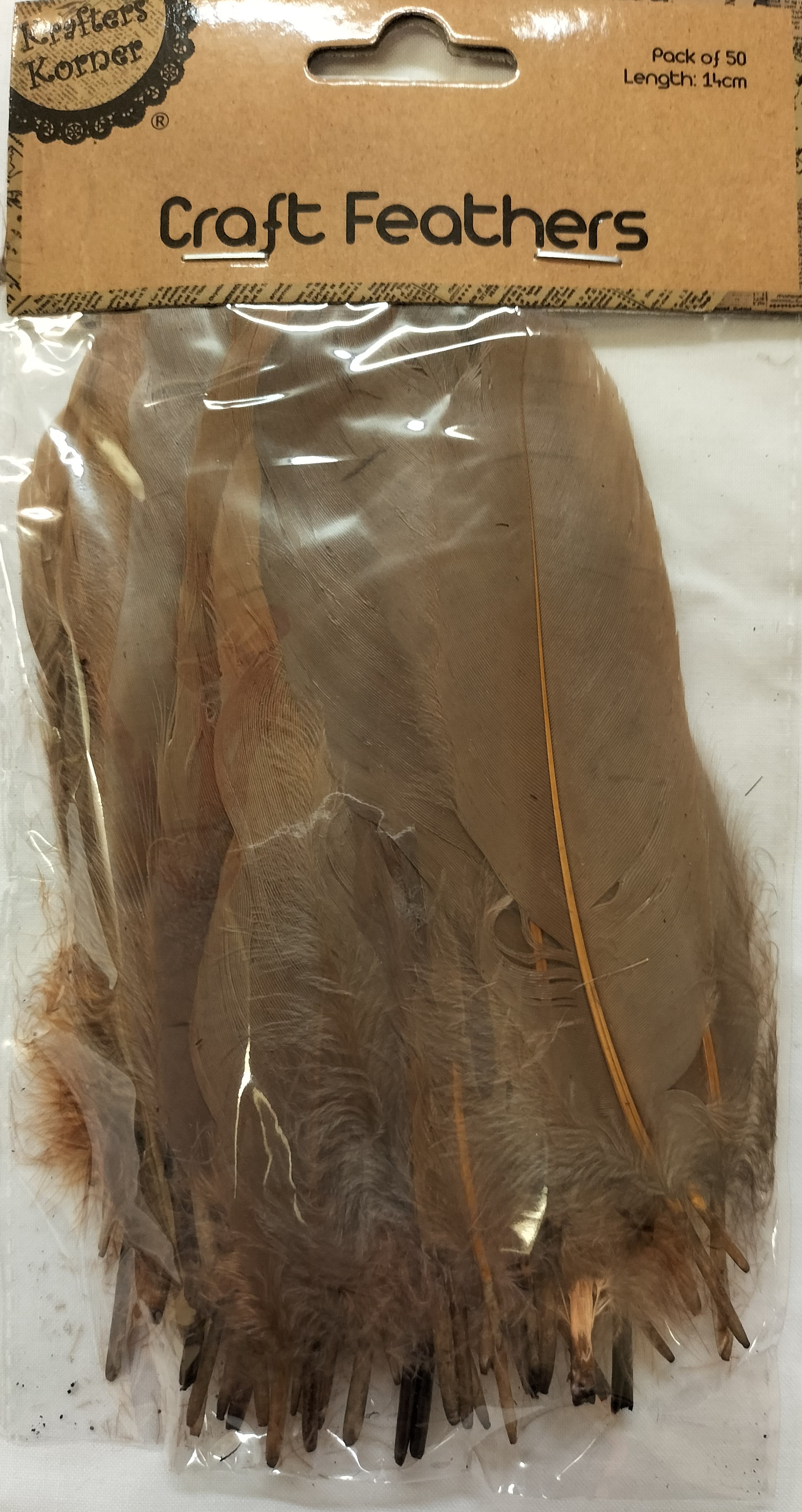 Brown Feathers 14cm Pk50 KK